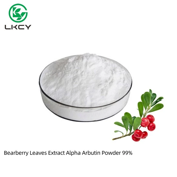 Bärentraubenblattextrakt Alpha-Arbutin-Pulver