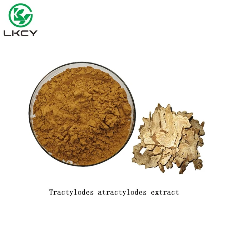 Tractylodes Atractylodes-Extrakt